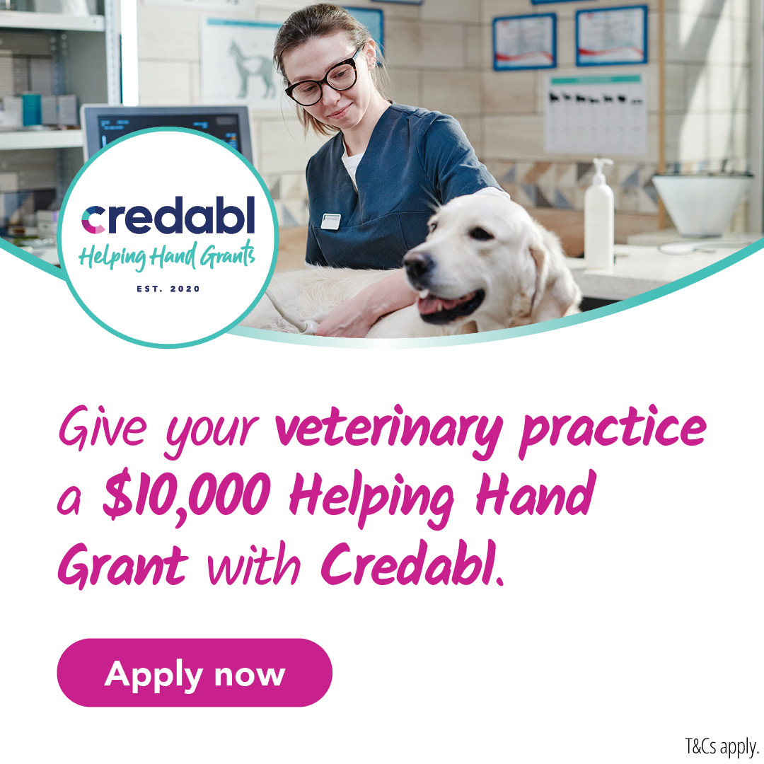 HHG24 Carousel 1080x1080 03 01